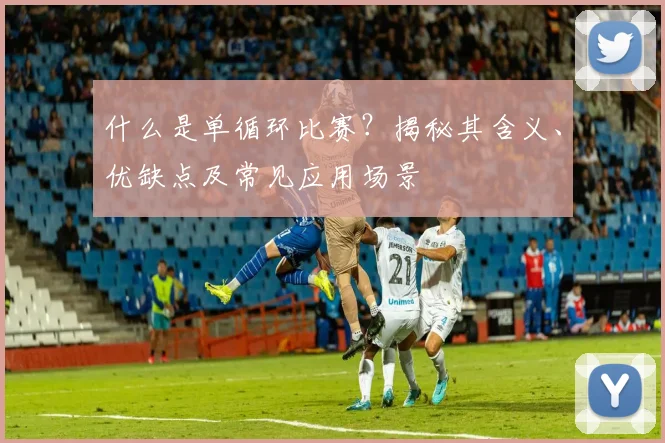 什么是单循环比赛?揭秘其含义、优缺点及常见应用场景